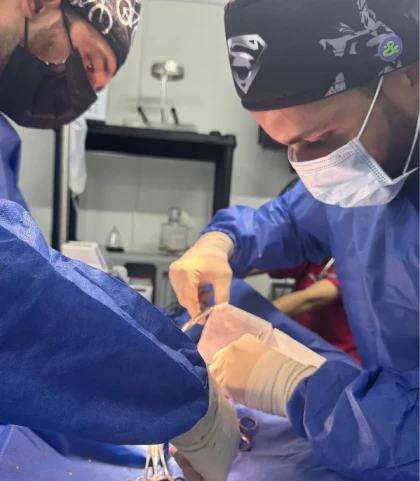 Servicio de Cirugía Veterinaria en Medellín en el Centro Veterinario Envigado