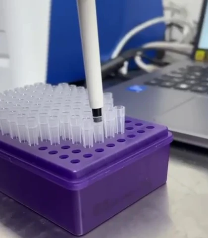 Servicio de Laboratorio Clínico Veterinario en Medellín en el Centro Veterinario Envigado