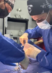 Cirugía veterinaria realizada por especialistas durante procedimiento quirúrgico en mascota