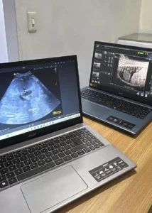 Ecografía veterinaria diagnóstica