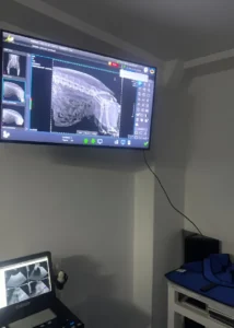 Análisis radiográfico veterinario