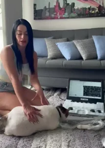 Consulta veterinaria domiciliaria