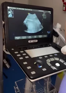 Ecografía veterinaria a domicilio