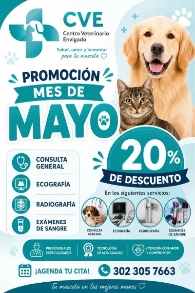 Promoción en servicios veterinarios para el mes de Mayo | Centro Veterinario Envigado